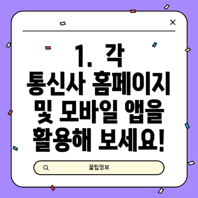 1.  각 통신사 홈페이지 및 모바일 앱을 활용해 보세요!