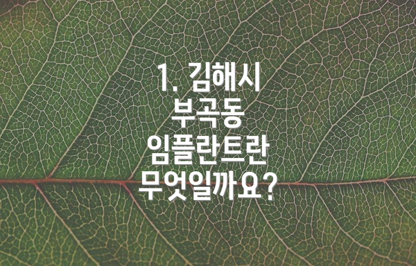 1. 김해시 부곡동 임플란트란 무엇일까요?