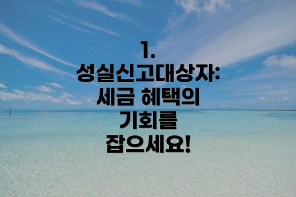 1. 성실신고대상자: 세금 혜택의 기회를 잡으세요!