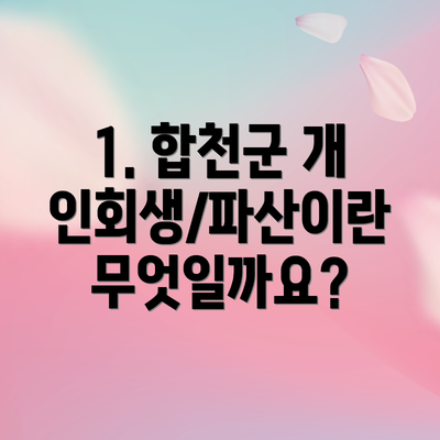 1. 합천군 개인회생/파산이란 무엇일까요?