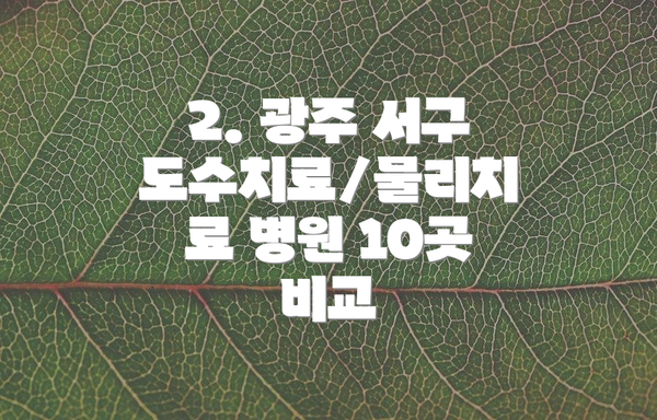 2. 광주 서구 도수치료/물리치료 병원 10곳 비교