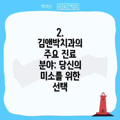 2. 김앤박치과의 주요 진료 분야: 당신의 미소를 위한 선택