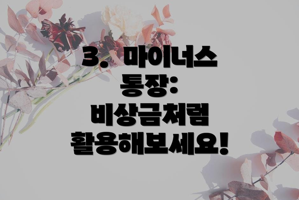 3.  마이너스 통장:  비상금처럼 활용해보세요!