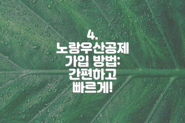 4. 노랑우산공제 가입 방법: 간편하고 빠르게!