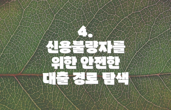 4.  신용불량자를 위한 안전한 대출 경로 탐색