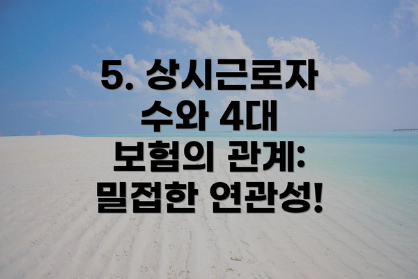 5. 상시근로자 수와 4대 보험의 관계: 밀접한 연관성!