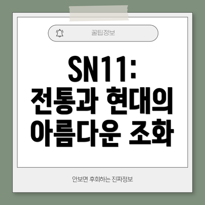 SN11: 전통과 현대의 아름다운 조화
