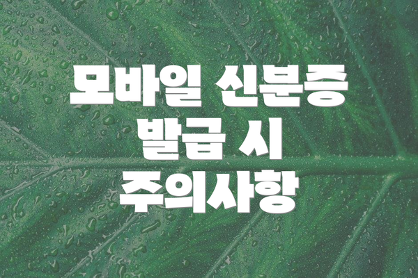 모바일 신분증 발급 시 주의사항