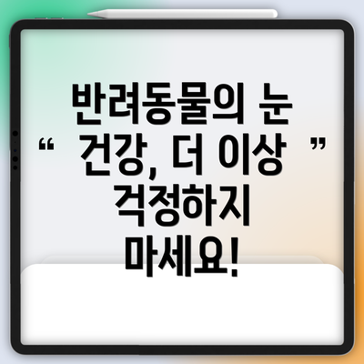반려동물의 눈 건강, 더 이상 걱정하지 마세요!