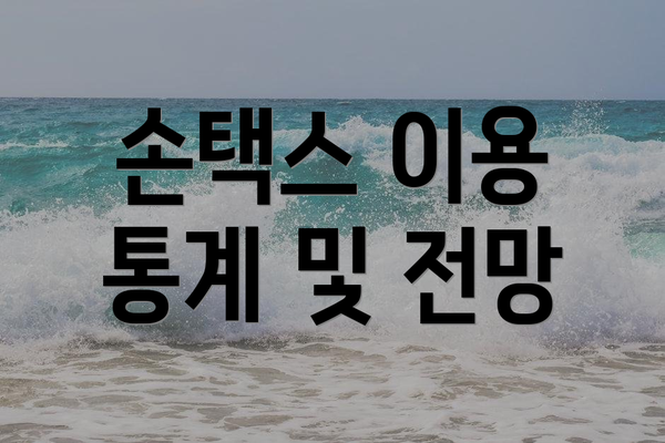 손택스 이용 통계 및 전망
