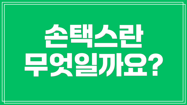 손택스란 무엇일까요?
