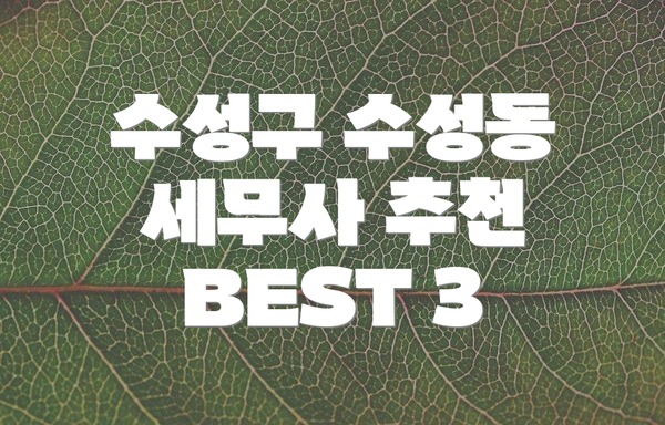 수성구 수성동 세무사 추천 BEST 3
