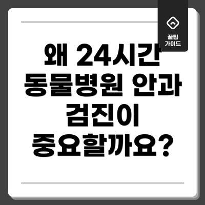 왜 24시간 동물병원 안과 검진이 중요할까요?