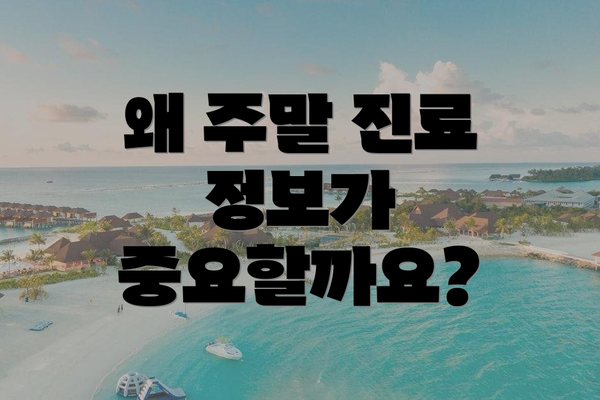 왜 주말 진료 정보가 중요할까요?