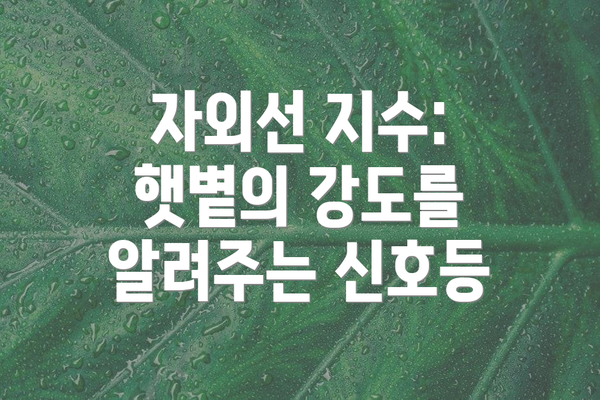 자외선 지수: 햇볕의 강도를 알려주는 신호등