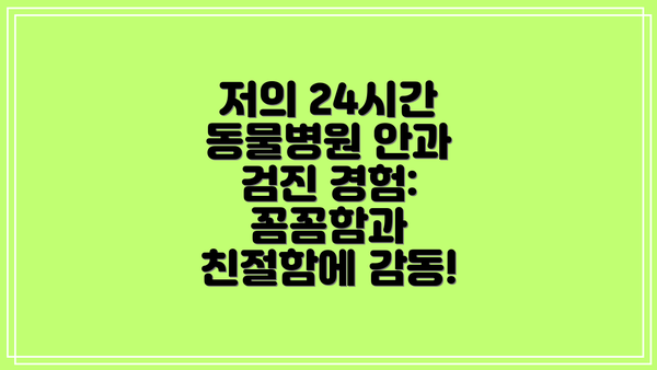 저의 24시간 동물병원 안과 검진 경험: 꼼꼼함과 친절함에 감동!