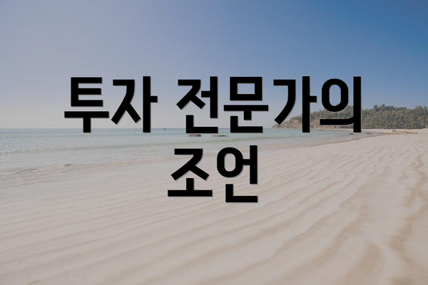 투자 전문가의 조언