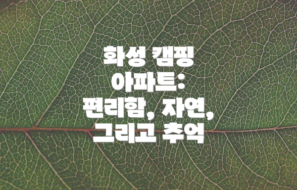 화성 캠핑 아파트: 편리함, 자연, 그리고 추억