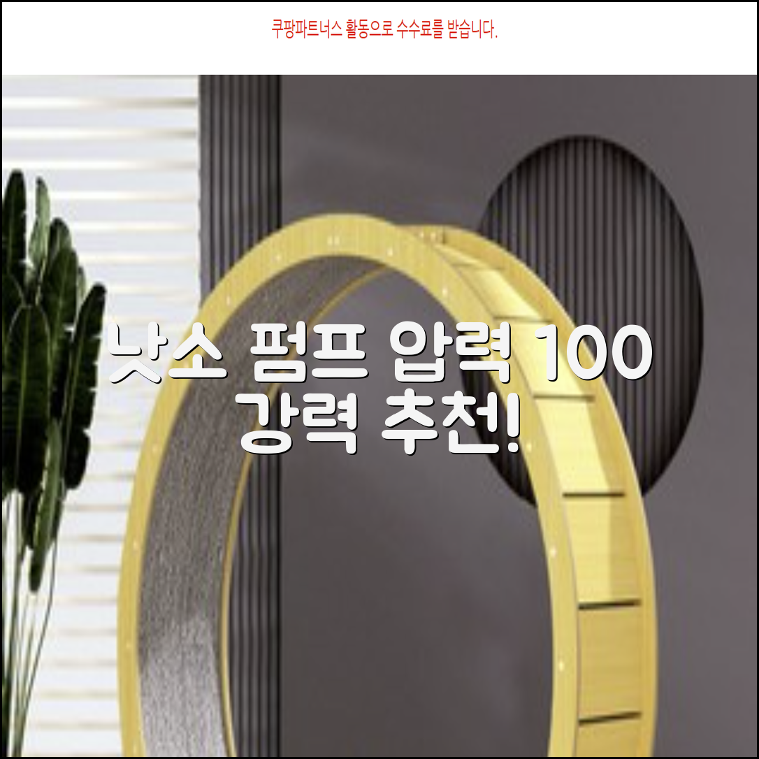 낫소 양방향 압력게이지 펌프, 블랙, 1개 추천 리뷰