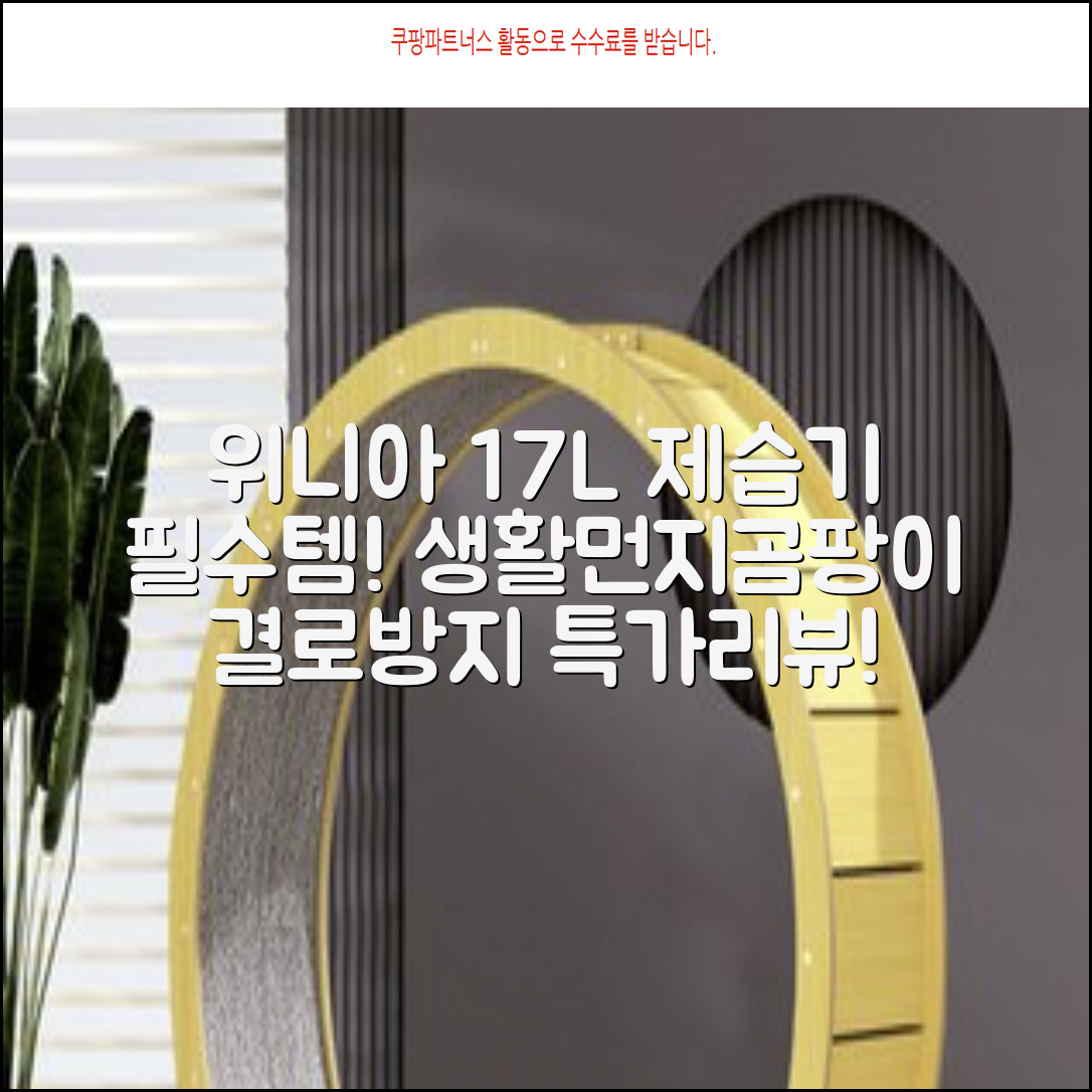 위니아 17리터 제습기 DCE118SWJ(A) 연속배수 생활먼지 안심필터 곰팡이 결로방지 필수템 추천 리뷰